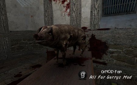 Amnesia: Piggeh