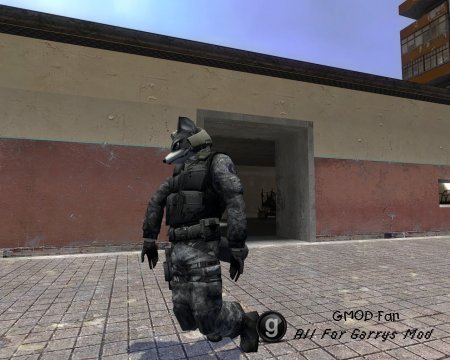 Furry GIGN