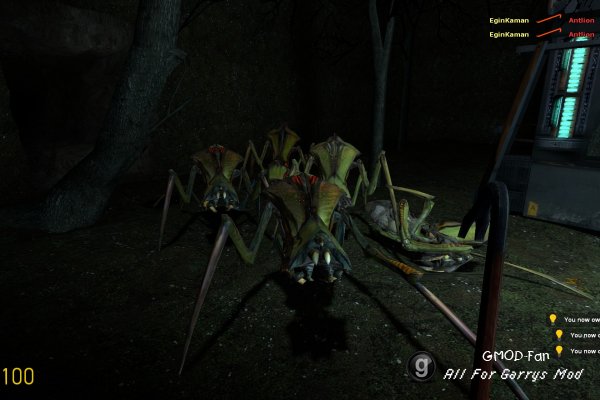 F-Survive