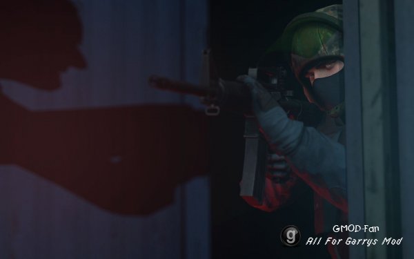 CS:GO GSG9 with BMS heads