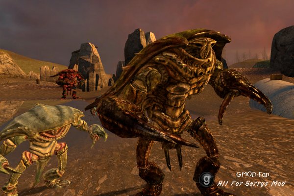 Fallout SNPCs