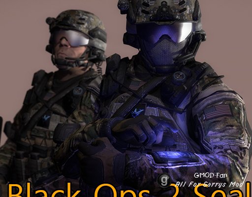 Black Ops 2 Seal