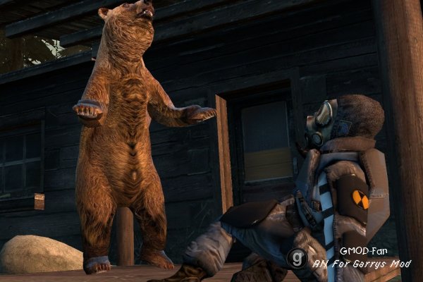 Bear Model