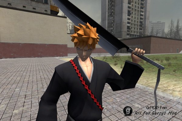 Ichigo and Zangetsu Ragdolls