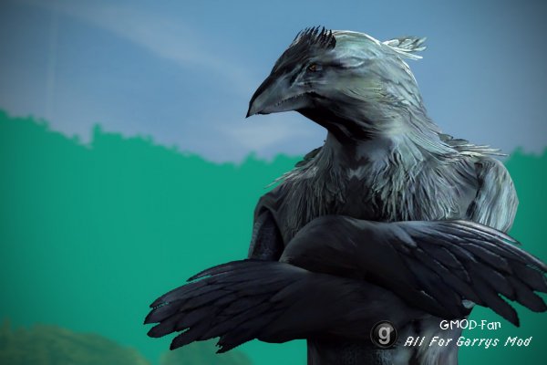 Raven Warrior