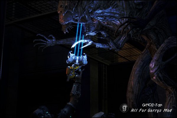 avp3 queen