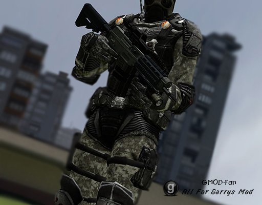 Reborn Soldier