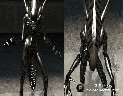 AVPR_xenomorph