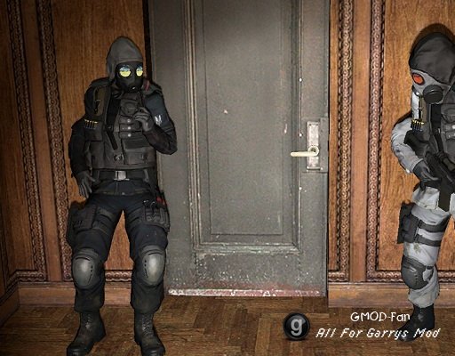 CS:GO SAS