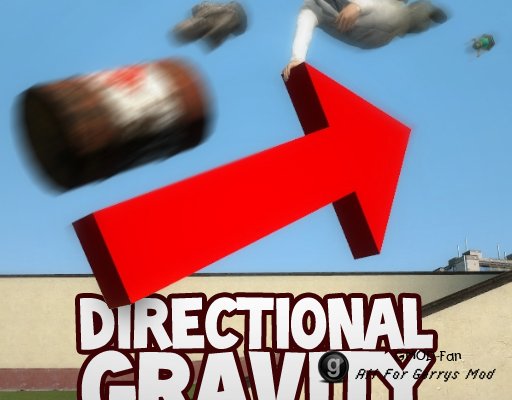 Directional Gravity