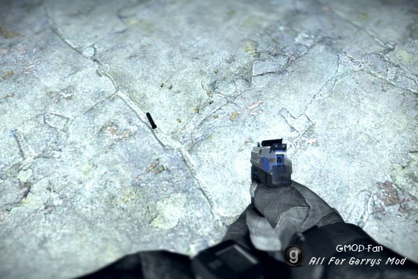 MW2 USP