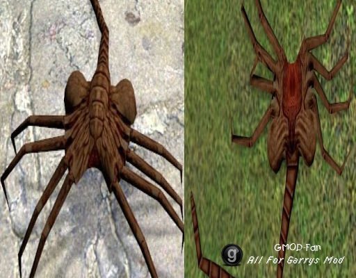 NPC facehugger as fast headcrab