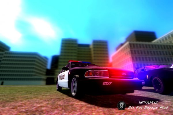 Police TDM and MC