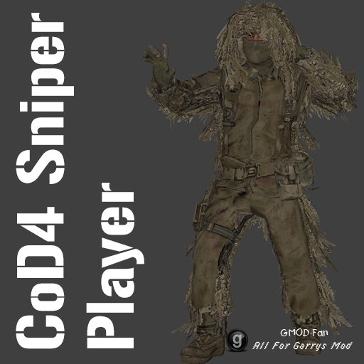 CoD4 Sniper Player