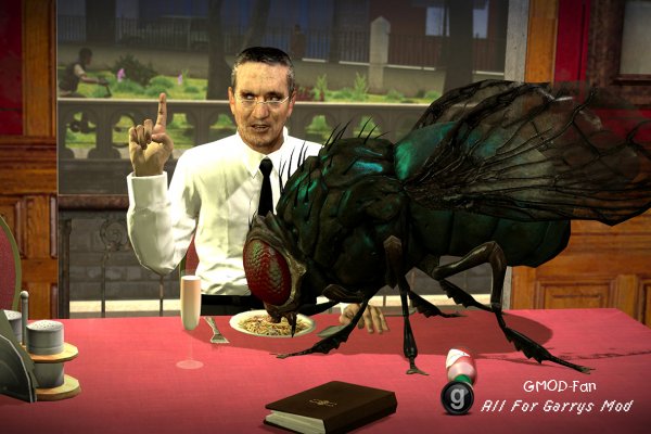 The Fly
