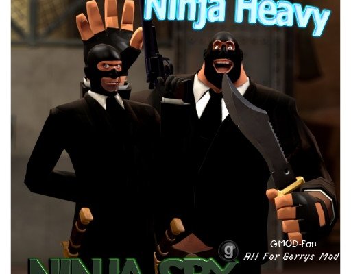 Ninja Spy and Ninja Heavy
