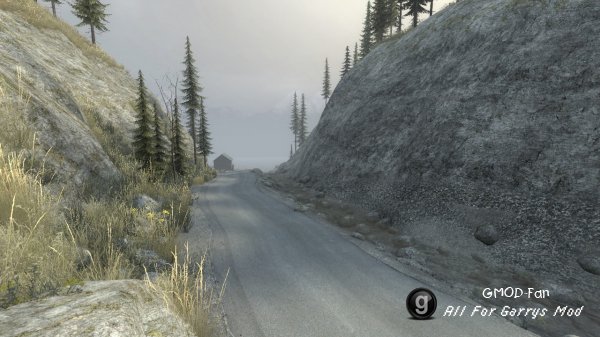 Forest Valley