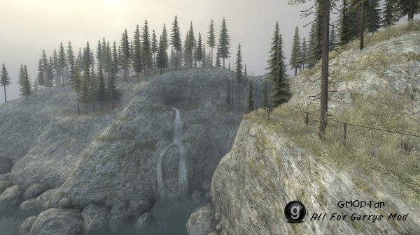 Forest Valley