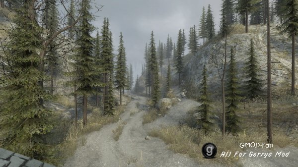 Forest Valley