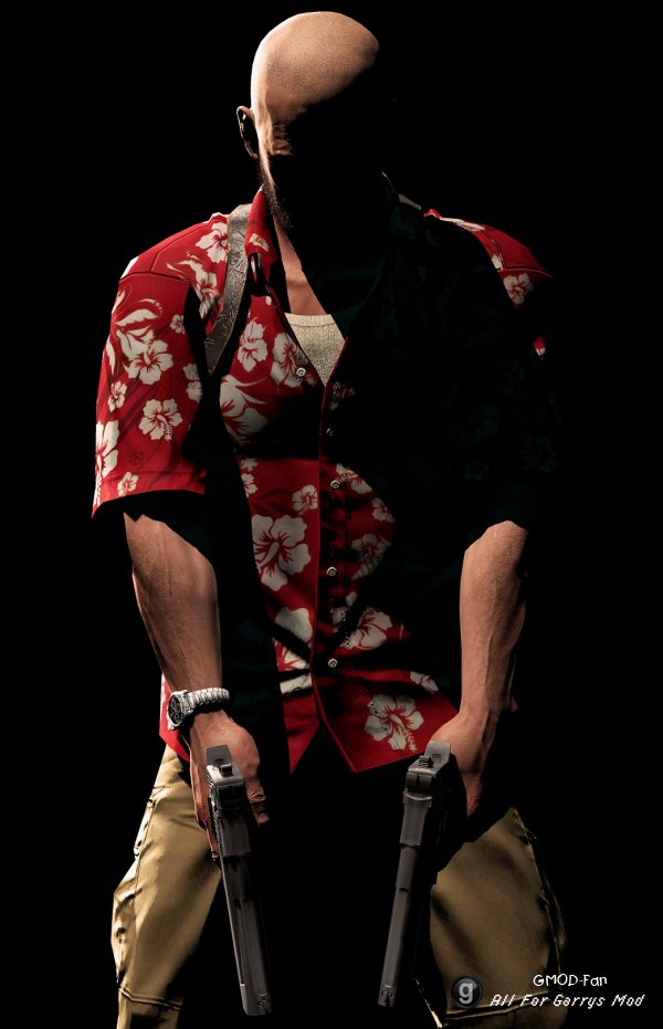 'Tropical' & 'Down to Business' Max Payne Ragdolls