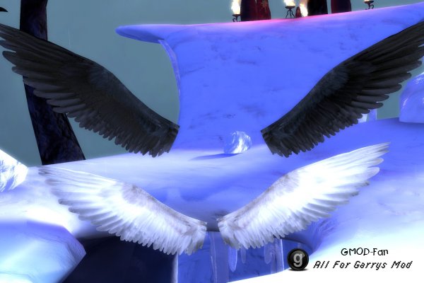 Wings