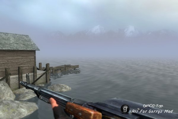 STALKER Weapons v 2.1