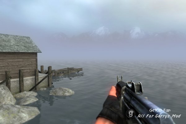 STALKER Weapons v 2.1