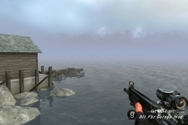 STALKER Weapons v 2.1