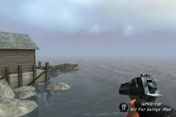 STALKER Weapons v 2.1
