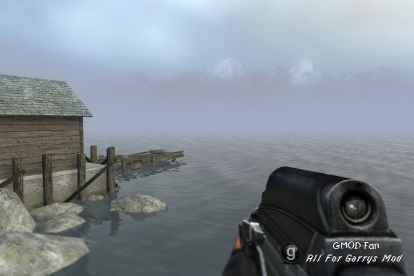 STALKER Weapons v 2.1
