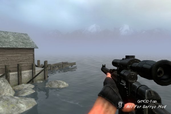 STALKER Weapons v 2.1