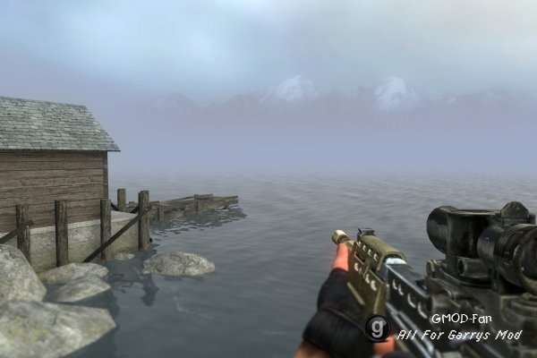 STALKER Weapons v 2.1