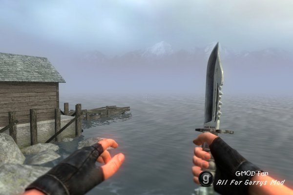 STALKER Weapons v 2.1