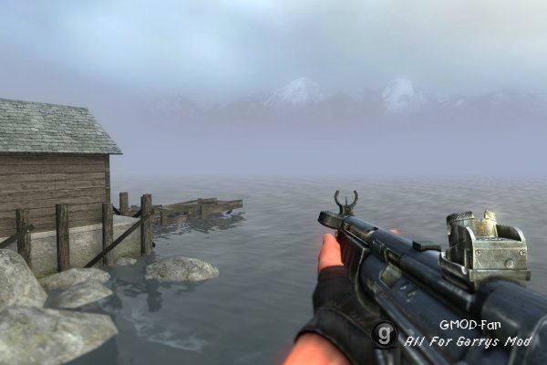 STALKER Weapons v 2.1