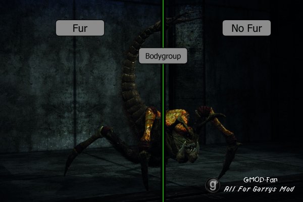 Metro: Last Light - Arachnid