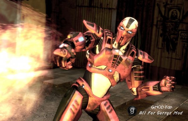 MK9 Cyber Ninjas