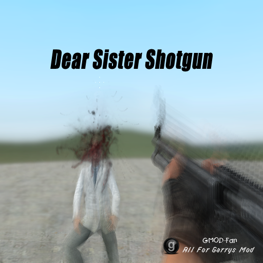 Dear Sister Shotgun