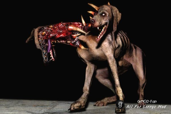 Resident Evil 5 Dog