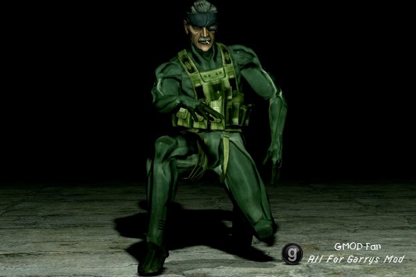 Old Snake