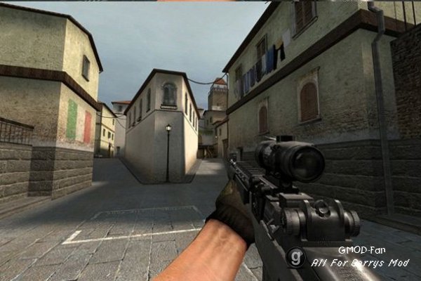 COD Styled M14 EBR