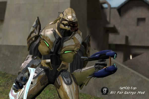 Halo 3: Elite Ragdoll/Playermodel/NPCs