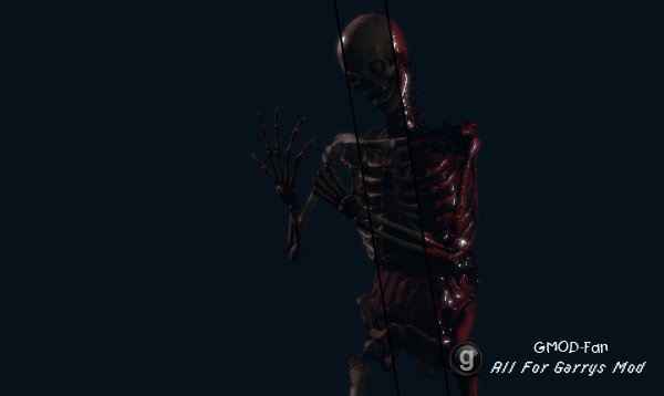Skeletons