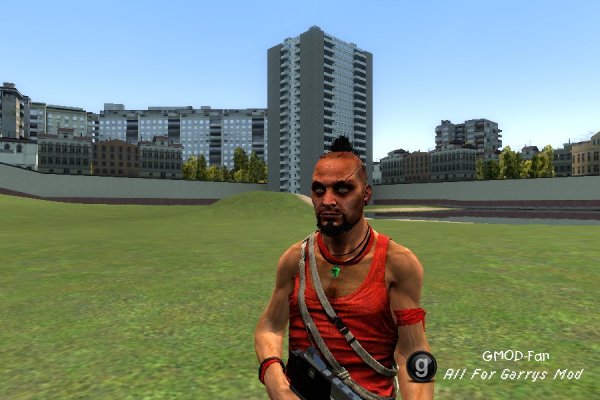 Vaas NPC!