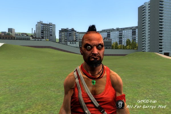 Vaas NPC!