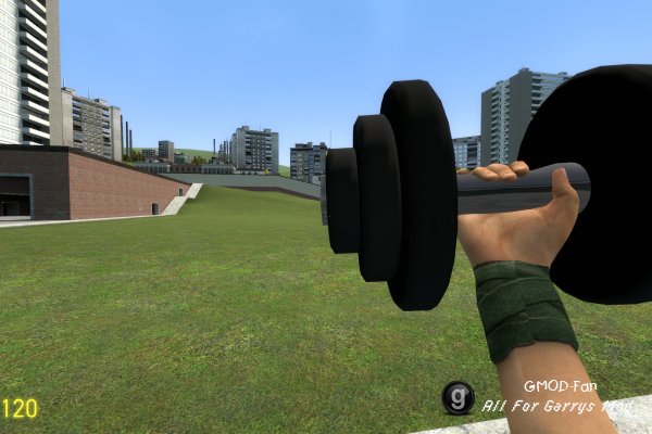 Dumbbell SWEP