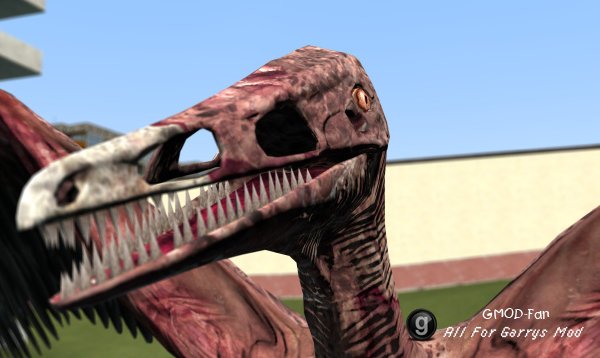 Zombie Pterodactyl (The Ball)