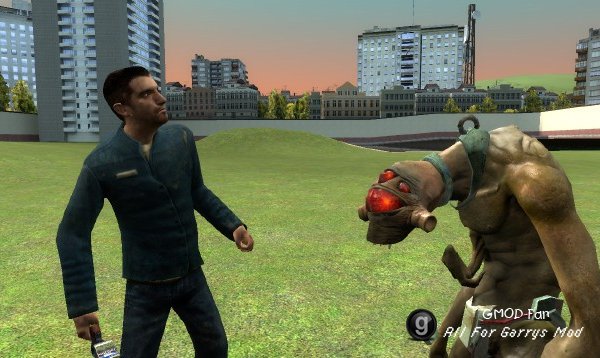 Vortigaunt Slave NPC