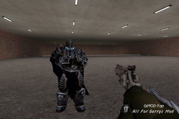 Lich King Model and PLAYERMODEL