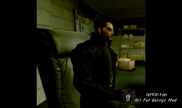 Adam Jensen Ragdoll