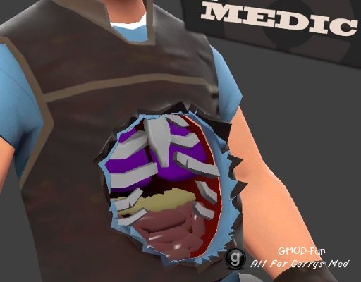 Meet the Medic Heavy TF2
